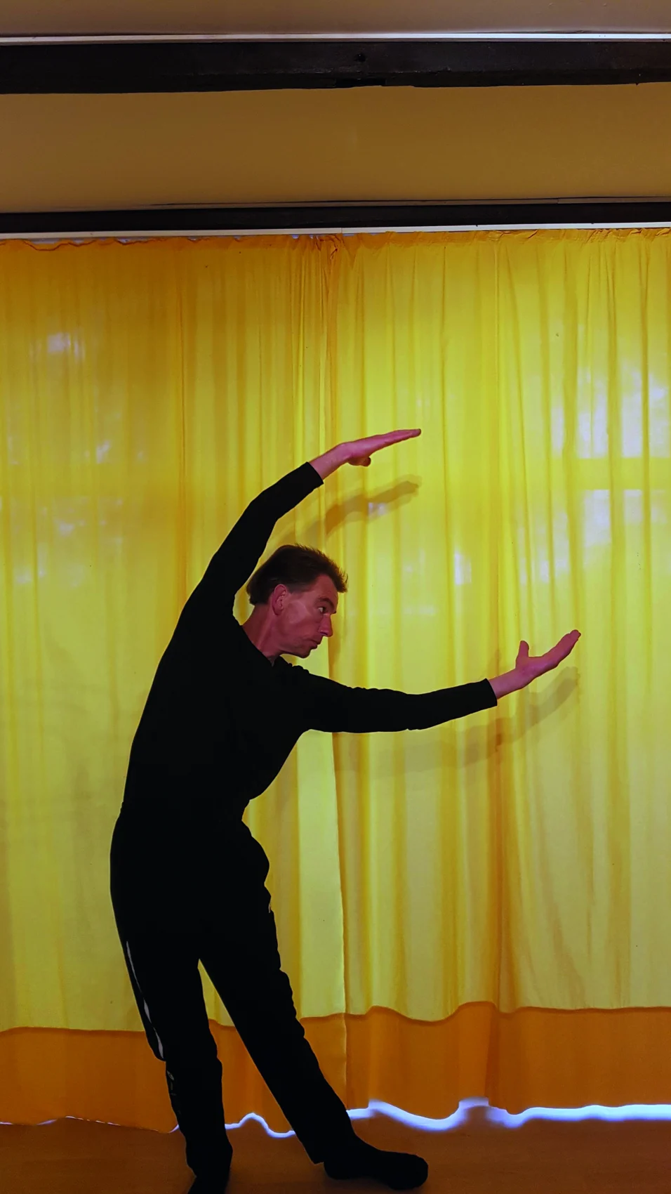 Tai-Chi-Bewegung 3 mit Boris Piefel
