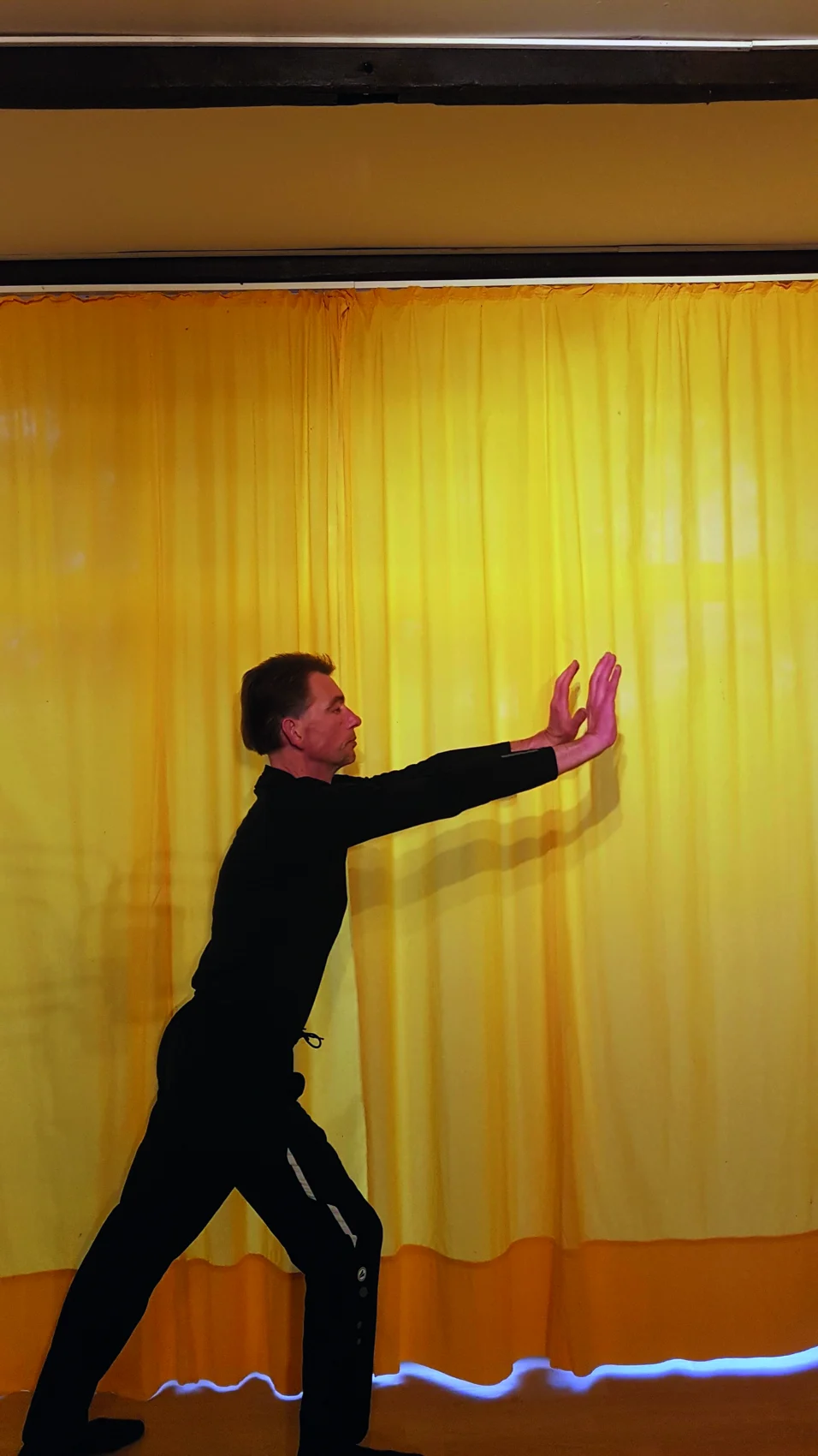 Tai-Chi-Bewegung 4 mit Boris Piefel